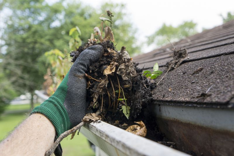 Local Roof Leaf Removal pros at work