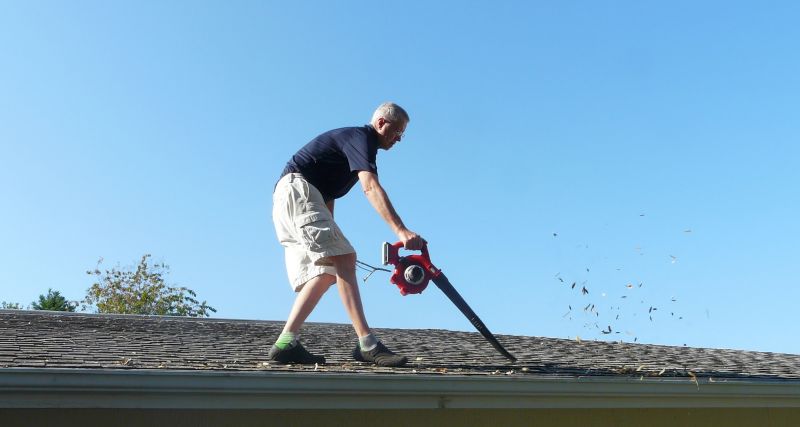 Roof Leaf Removal