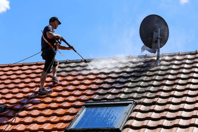Professional Roof Cleaning Team