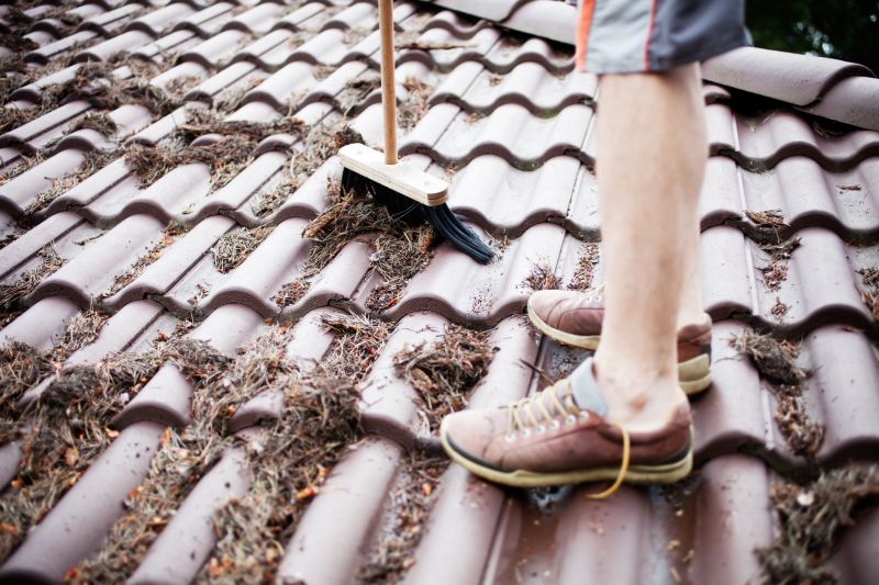 Roof Leaf Removal