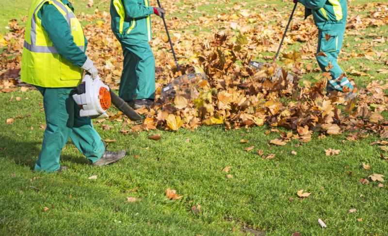 Roof Leaf Removal Process
