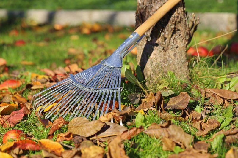 Tools for Leaf Removal