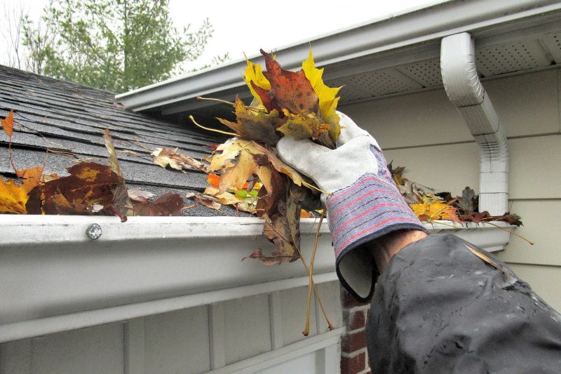 Gutter Cleaning Specialists