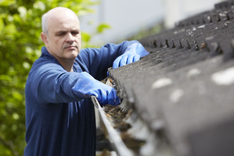 Gutter and Roof Cleaning